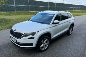 2.0 TDi 4X4 Automat Salon Polska