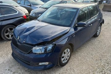 1.0 MPI Salon Polska