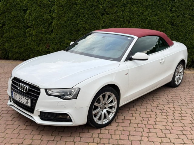 audi