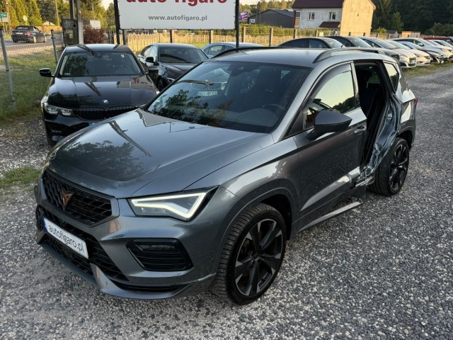 cupra